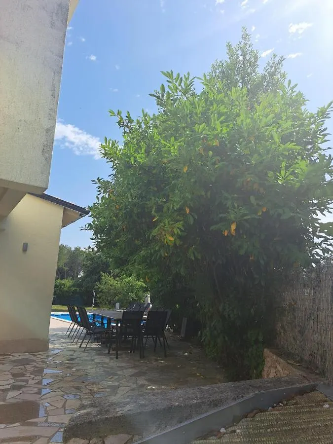 Villa Eucaliptus Istrien Rovinj 0*,  Croatia