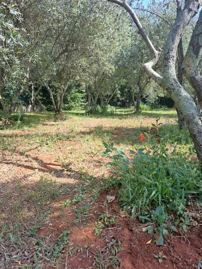 Villa Eucaliptus Istrien Rovinj 0*,