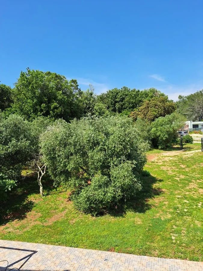 Villa Eucaliptus Istrien Rovinj 0*,